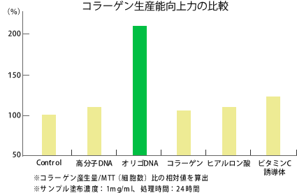 コラーゲン生産能向上力の比較